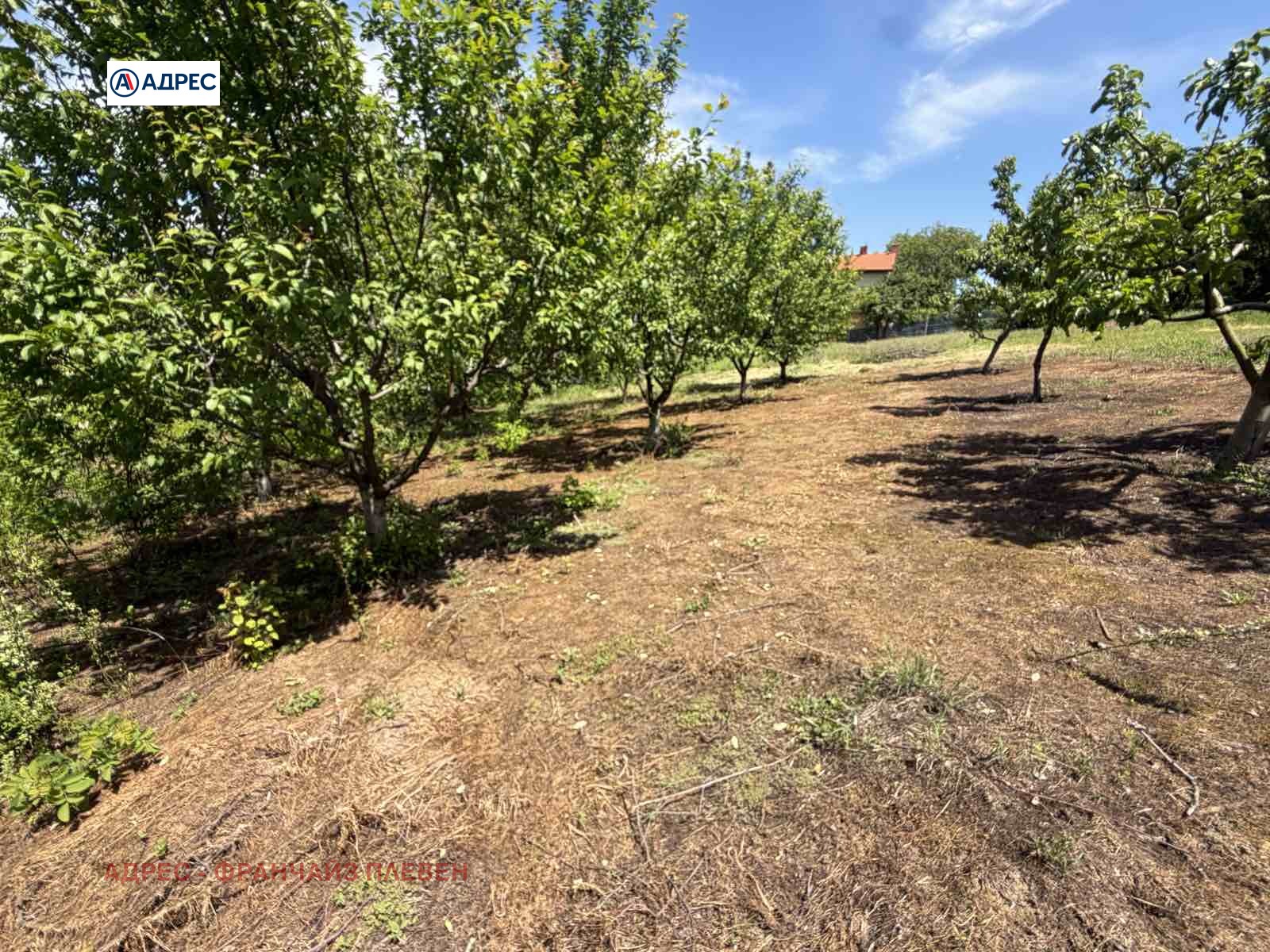 Продава ПАРЦЕЛ, с. Гривица, област Плевен, снимка 3 - Парцели - 54591143