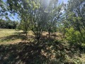 Продава ПАРЦЕЛ, с. Гривица, област Плевен, снимка 4