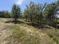 Продава ПАРЦЕЛ, с. Гривица, област Плевен, снимка 5