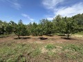 Продава ПАРЦЕЛ, с. Гривица, област Плевен, снимка 1