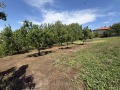 Продава ПАРЦЕЛ, с. Гривица, област Плевен, снимка 2