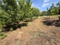 Продава ПАРЦЕЛ, с. Гривица, област Плевен, снимка 3