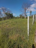 Продава ПАРЦЕЛ, с. Селищен дол, област Перник, снимка 2