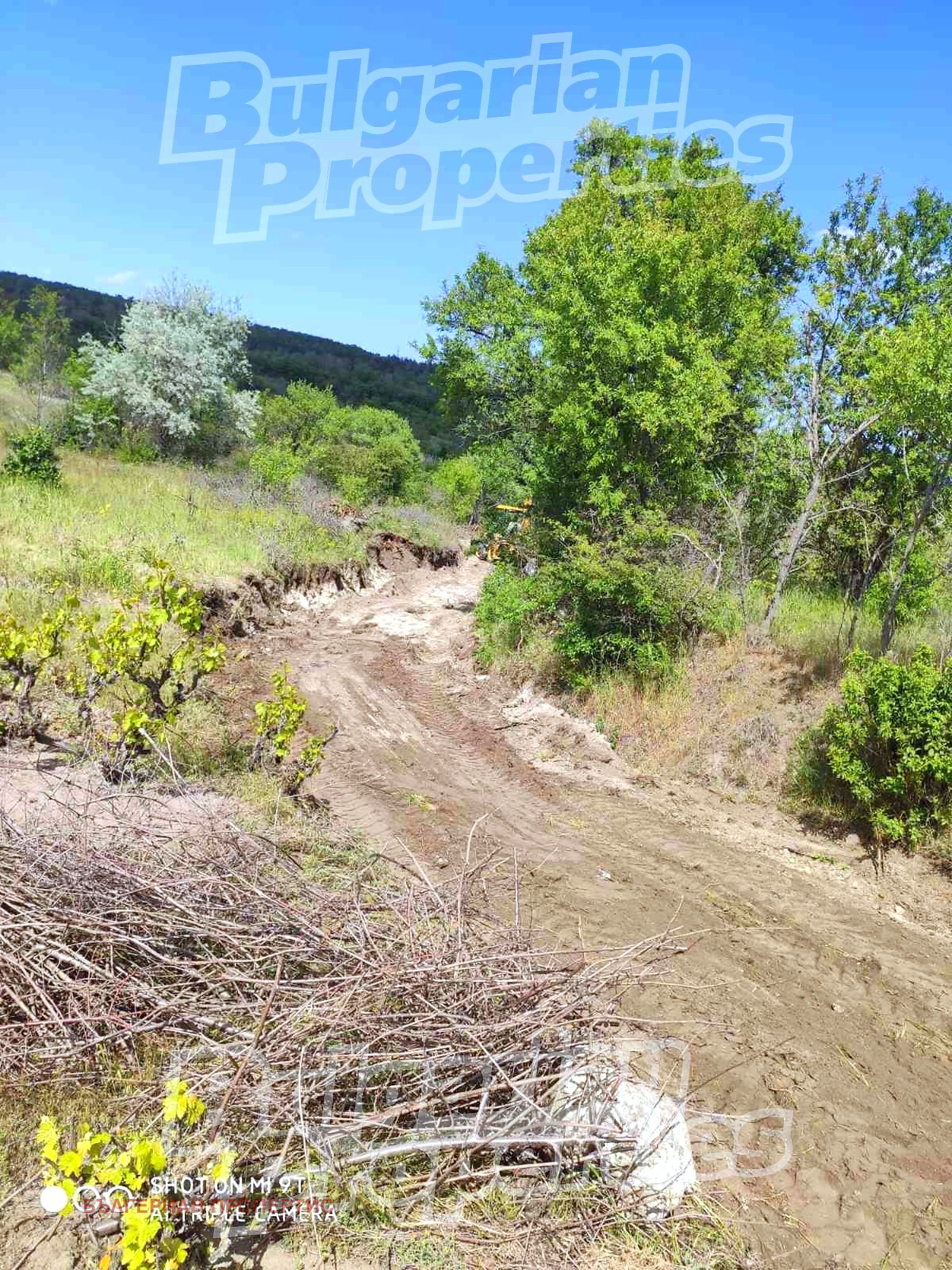 Продава ПАРЦЕЛ, гр. Игнатиево, област Варна, снимка 3 - Парцели - 53613094