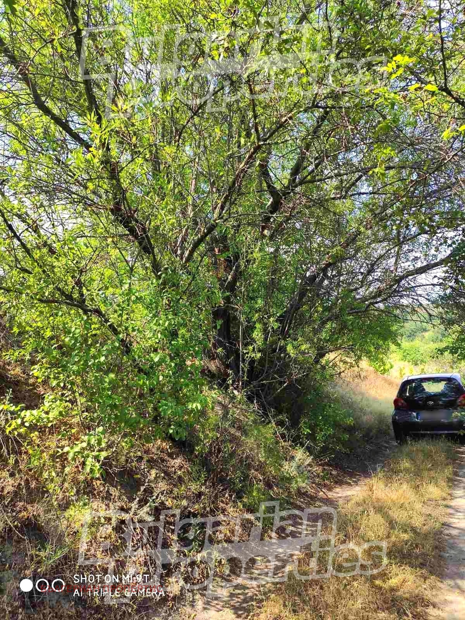 Продава ПАРЦЕЛ, гр. Игнатиево, област Варна, снимка 5 - Парцели - 53613094