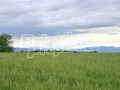 Продава КЪЩА, с. Ловнидол, област Габрово, снимка 5