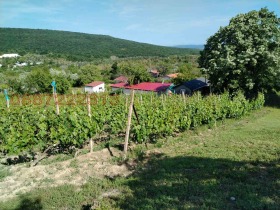 ������� ������ | Imot.bg � ����� ������ 5