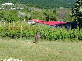 ������� ������ | Imot.bg � ����� ������ 3