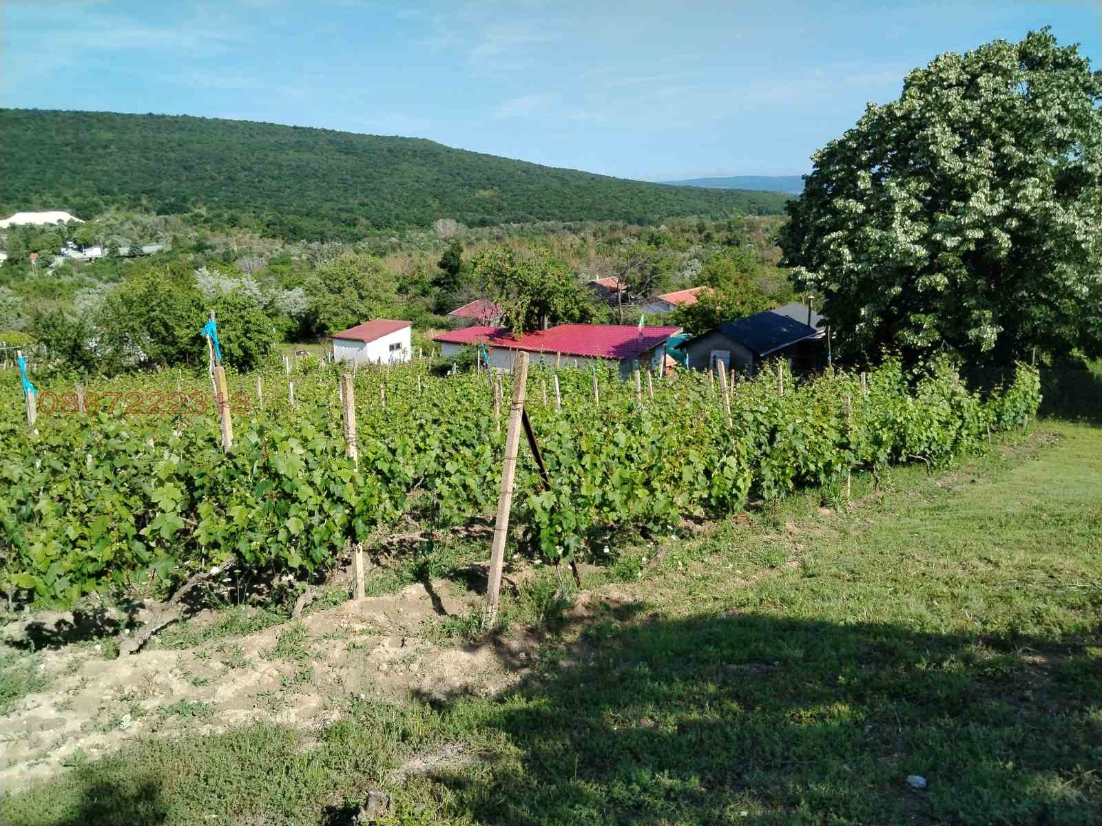 Продава ПАРЦЕЛ, с. Калиманци, област Варна, снимка 5 - Парцели - 54877838