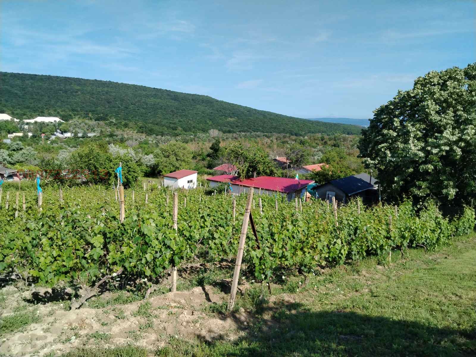 Продава ПАРЦЕЛ, с. Калиманци, област Варна, снимка 4 - Парцели - 54877838