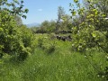 Продава КЪЩА, с. Пчелище, област Велико Търново, снимка 15