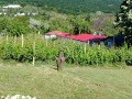 Продава ПАРЦЕЛ, с. Калиманци, област Варна, снимка 3