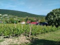 Продава ПАРЦЕЛ, с. Калиманци, област Варна, снимка 4