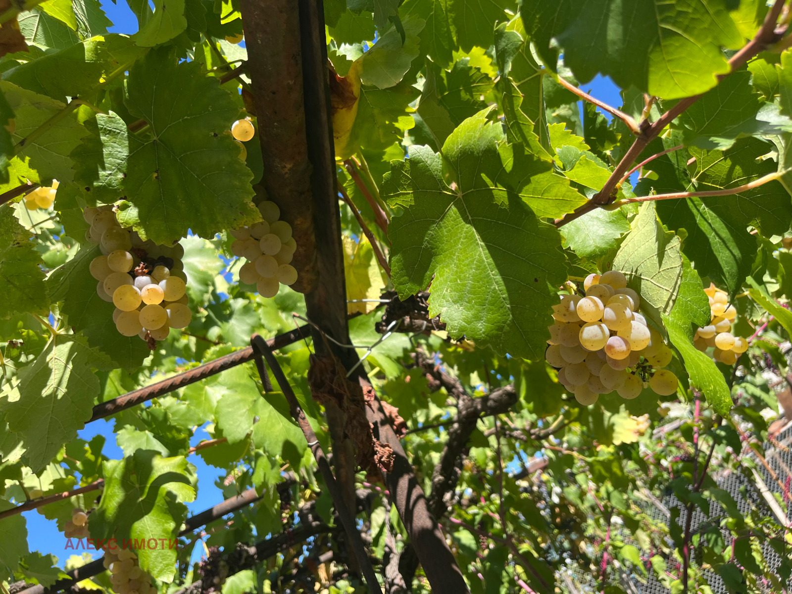 ������� ���� | Imot.bg � ����������� 3