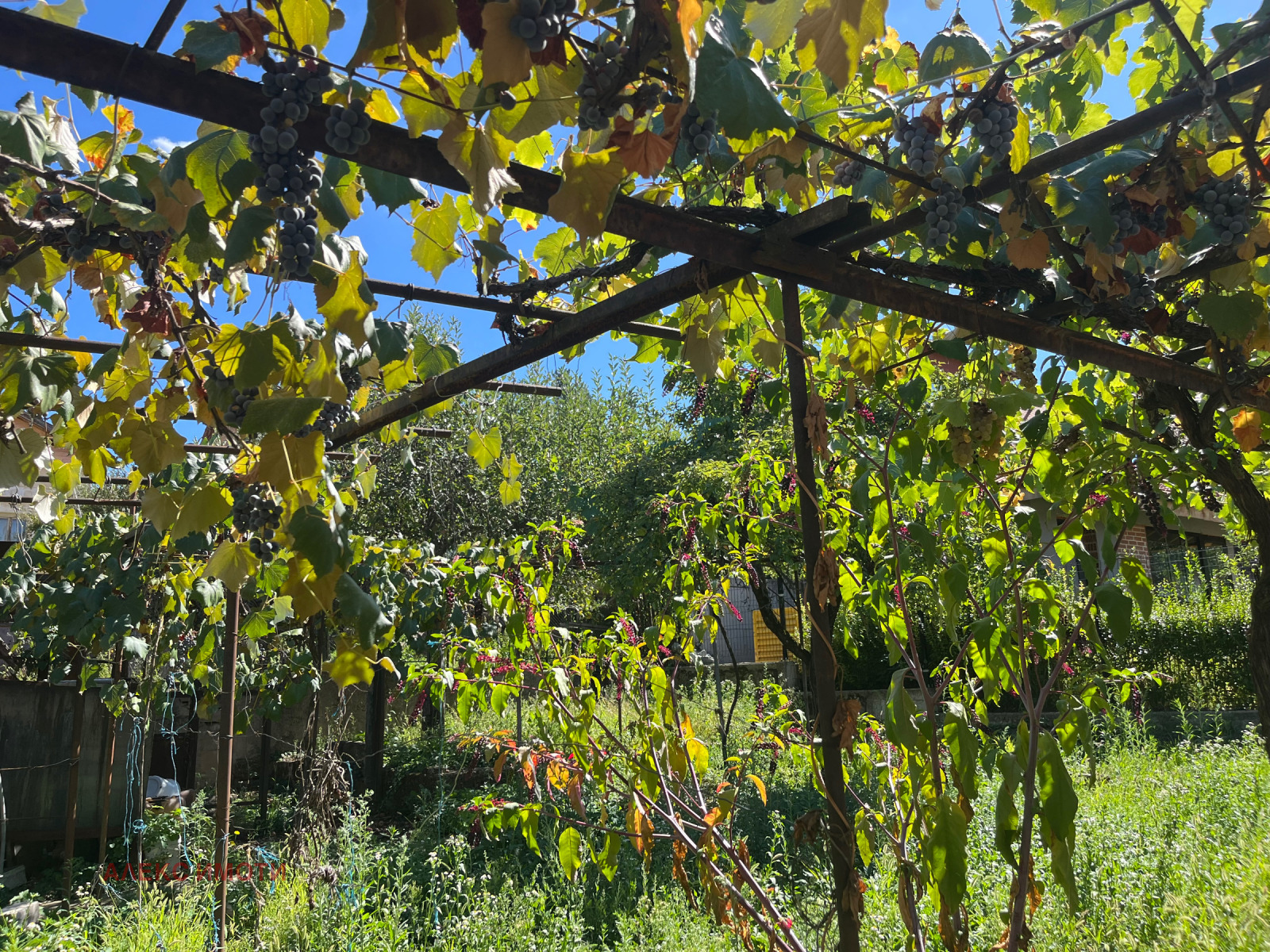 ������� ���� | Imot.bg � ����������� 4