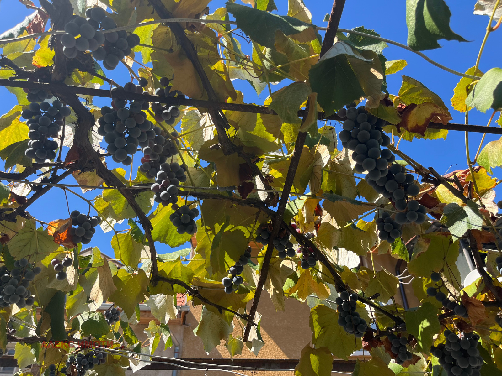 ������� ���� | Imot.bg � ����������� 5