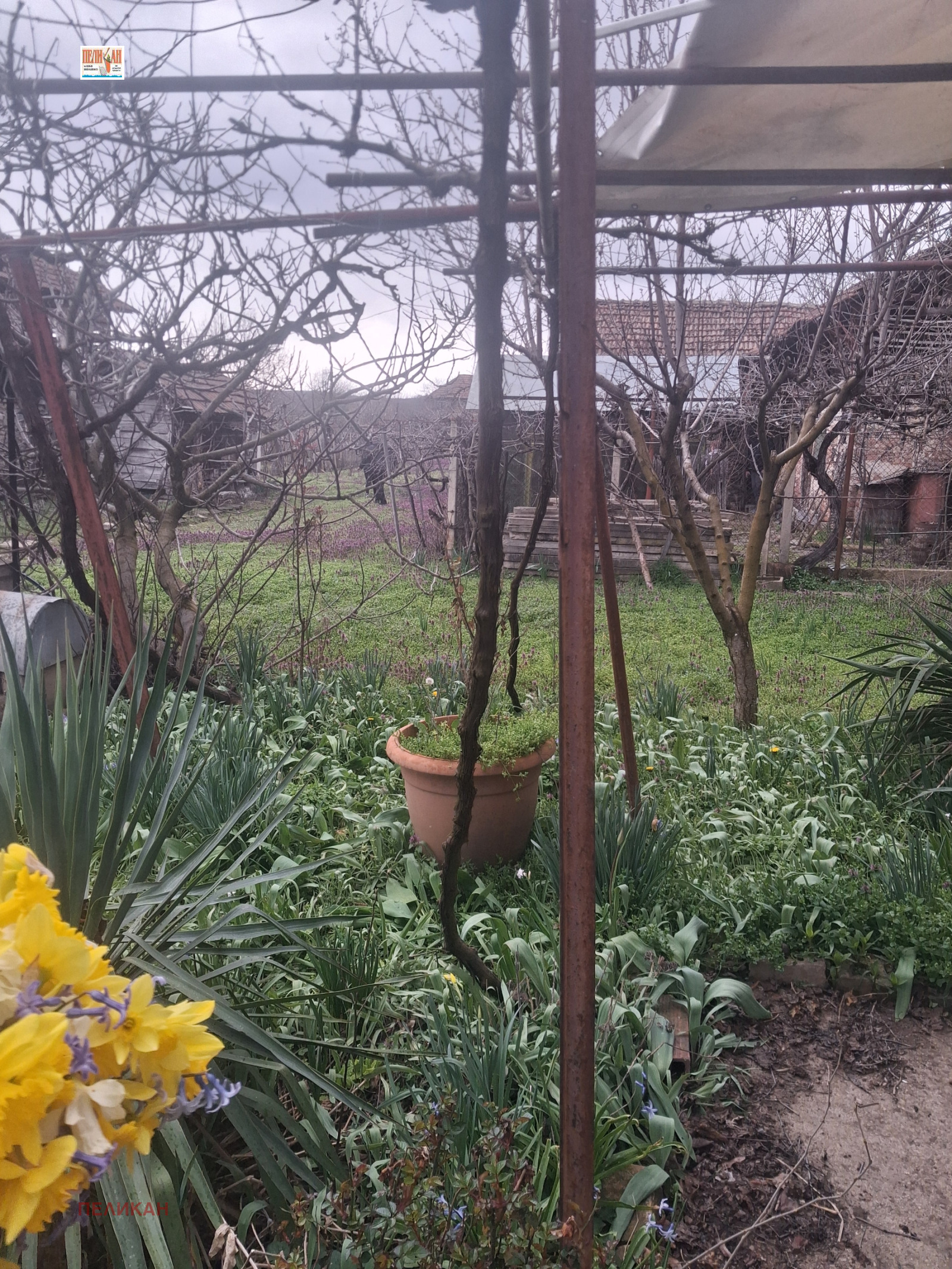 ������� ���� | Imot.bg � ����������� 9