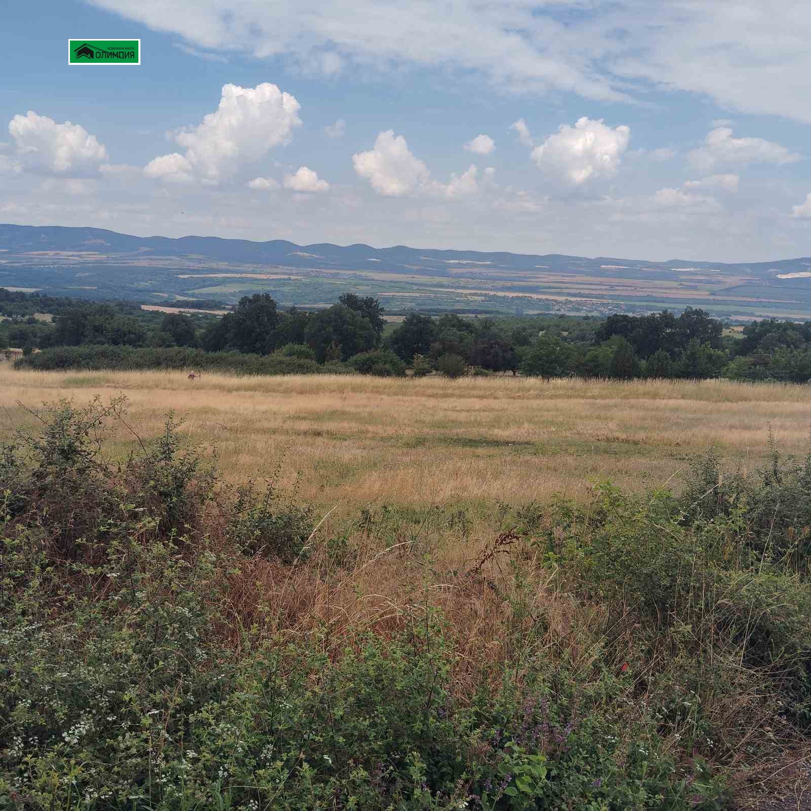 ������� ������ | Imot.bg � ����������� 4
