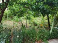 Продава  Къща област Разград , гр. Исперих , 86 кв.м | 80949086 - изображение [15]
