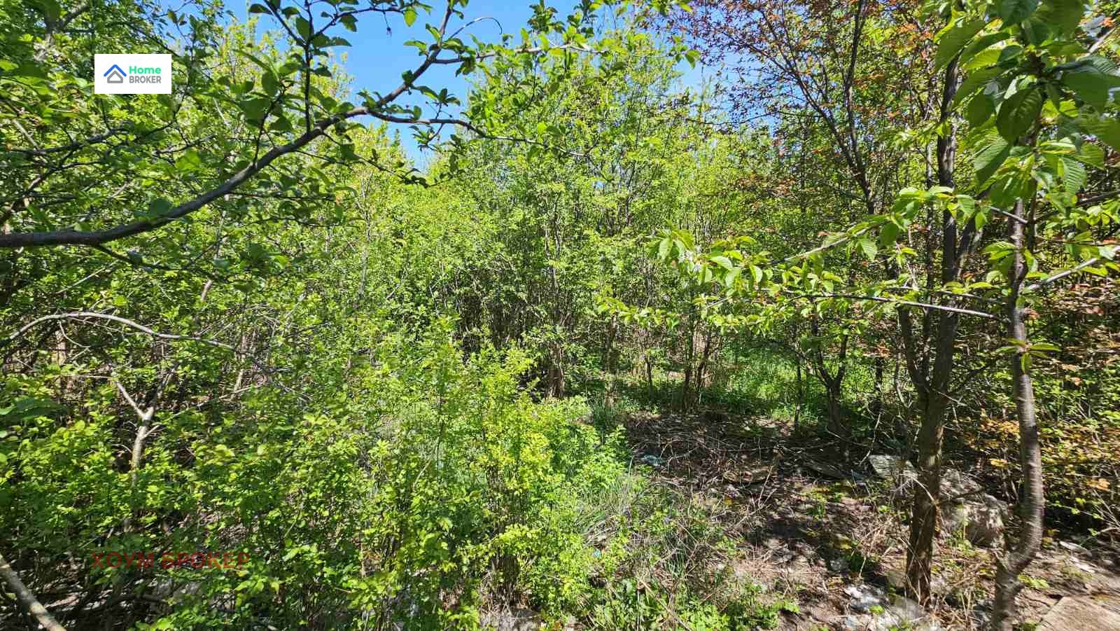 ������� ������ | Imot.bg � ����������� 7