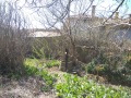 Продава ПАРЦЕЛ, с. Дъбене, област Пловдив, снимка 5