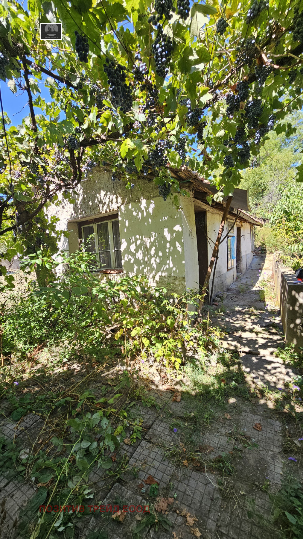 ������� ���� | Imot.bg � ����������� 17