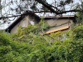 Hus Batulija, region Sofia 13