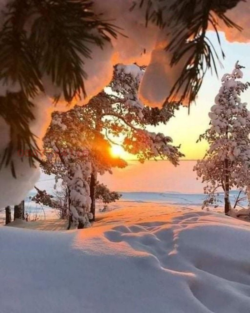 Продава ЗЕМЕДЕЛСКА ЗЕМЯ, с. Лилково, област Пловдив, снимка 8 - Земеделска земя - 52827773