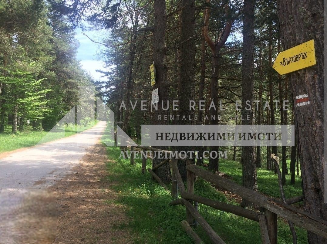 Продава ВИЛА, гр. Перущица, област Пловдив, снимка 4 - Вили - 53606340