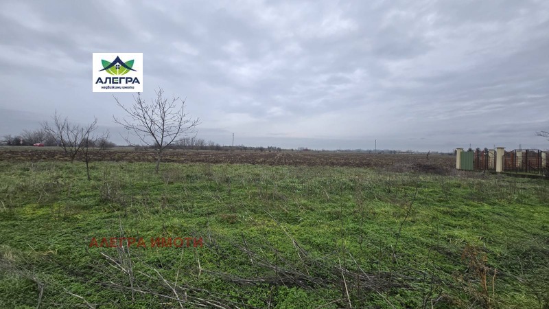 Продава ЗЕМЕДЕЛСКА ЗЕМЯ в област Пазарджик, с. Гелеменово - 4.819 дка / 100 000 € » 195 583.00 лв., АЛЕГРА ИМОТИ