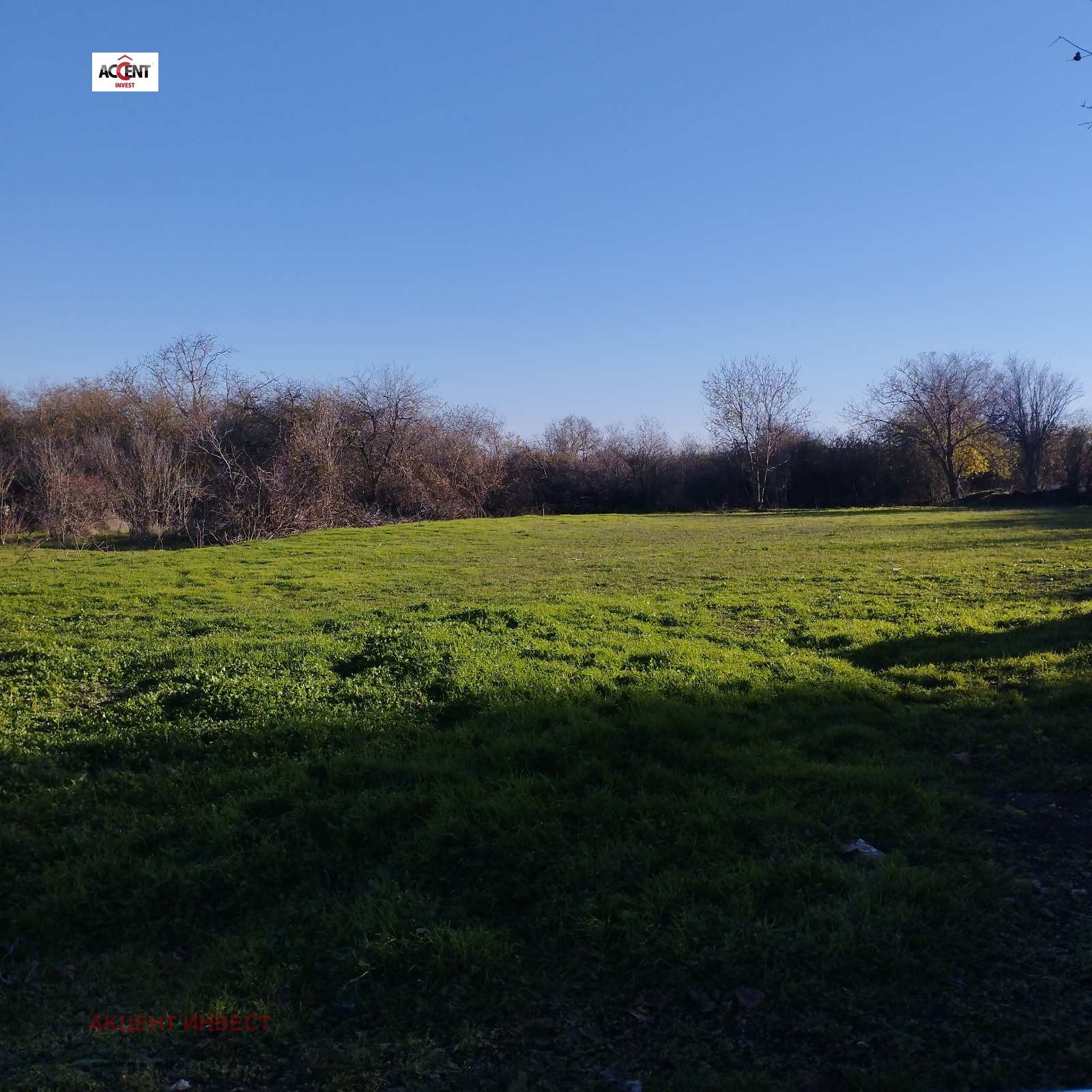 ������� ������ | Imot.bg � ����������� 1