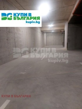 ����� ������� ����������,���� �����, ������