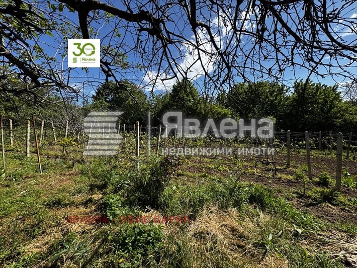 Продава КЪЩА, с. Осеново, област Варна, снимка 8 - Къщи - 54716040