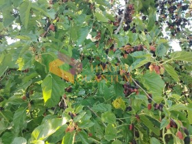 ������� ���� | Imot.bg � ����� ������ 15