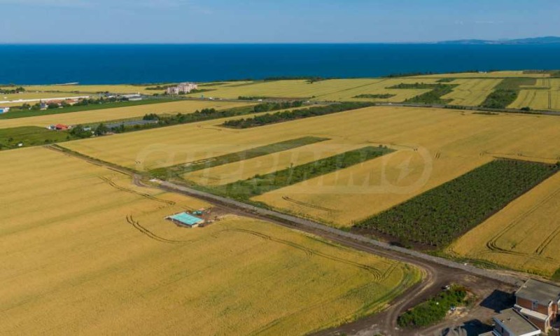 Продаја  Плот регион Бургас , Поморие , 7148 м2 | 22433263 - слика [3]