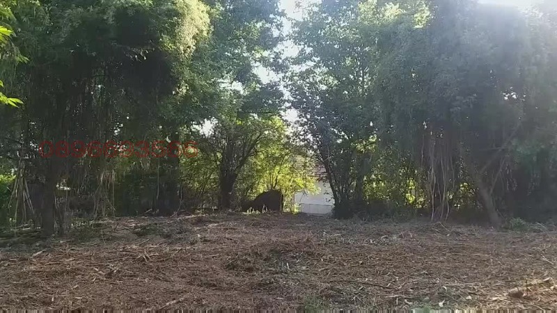 Продава ПАРЦЕЛ, с. Гълъбник, област Перник, снимка 2 - Парцели - 52781558