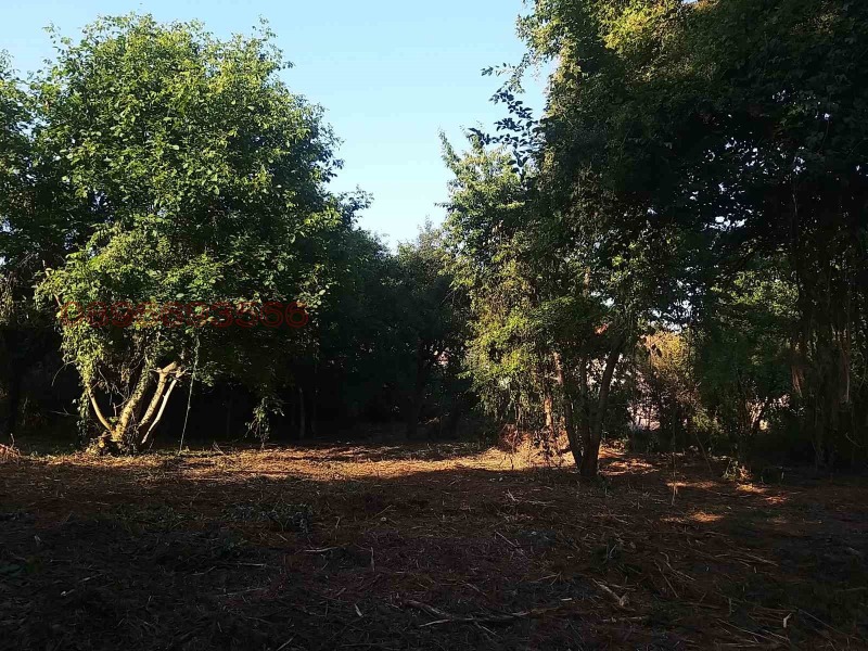 Продава ПАРЦЕЛ, с. Гълъбник, област Перник, снимка 4 - Парцели - 52781558