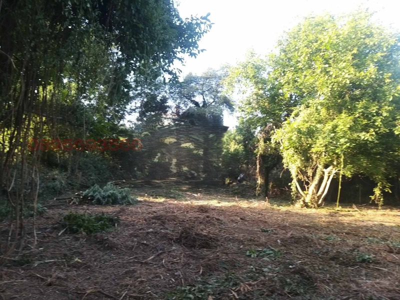 Продава ПАРЦЕЛ, с. Гълъбник, област Перник, снимка 3 - Парцели - 52781558