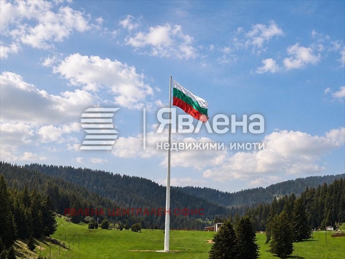 Продава ПАРЦЕЛ, с. Проглед, област Смолян, снимка 4 - Парцели - 56318768