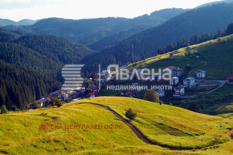Продава ПАРЦЕЛ, с. Проглед, област Смолян, снимка 3 - Парцели - 56318768