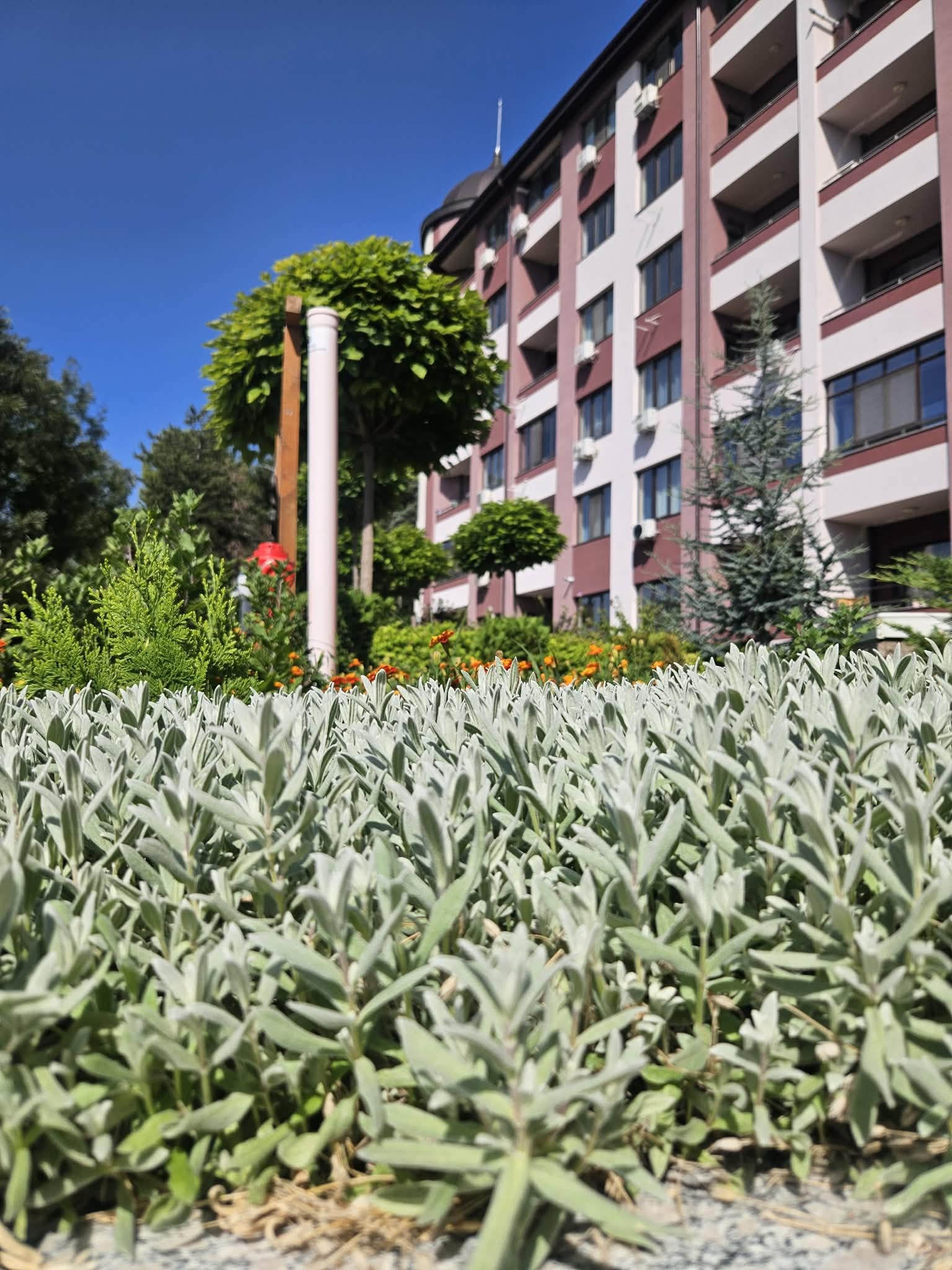 Продава 3-СТАЕН, гр. Стара Загора, Аязмото, снимка 3 - Апартаменти - 55988212