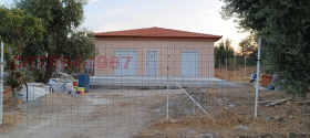   4-, , 