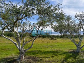 ������� ������ | Imot.bg � ����� ������ 2