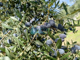 ������� ������ | Imot.bg � ����� ������ 6