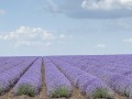 Продава БИЗНЕС ИМОТ, с. Средно градище, област Стара Загора, снимка 12