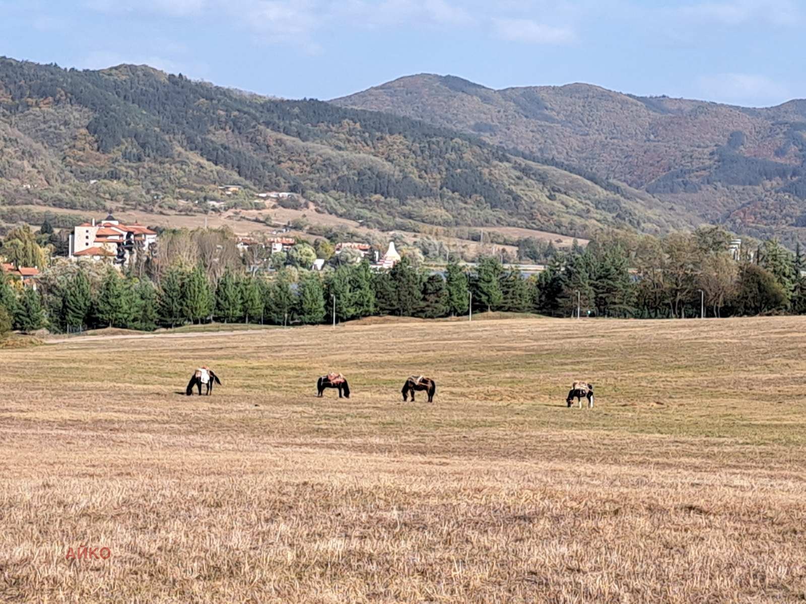 Продава ПАРЦЕЛ | Imot.bg — изображение 2