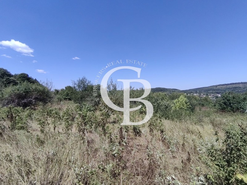 Продава  Парцел област Варна , с. Долище , 10629 кв.м | 67064187 - изображение [4]