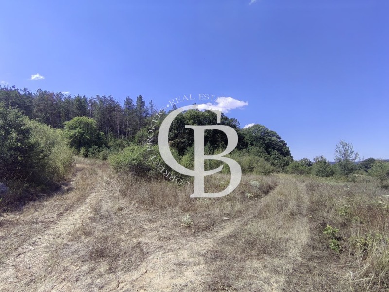 Продава  Парцел област Варна , с. Долище , 10629 кв.м | 67064187 - изображение [5]