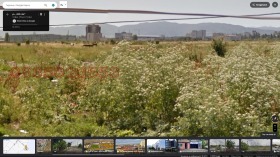 ����� ������� ������,���� �����, ������ �����