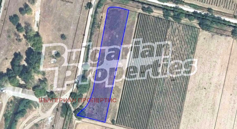 In vendita  Terra regione Plovdiv , Parvenets , 4.41 dka | 79280734 - Immagine [9]